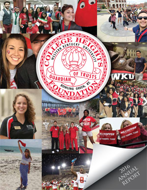 2016 annual report